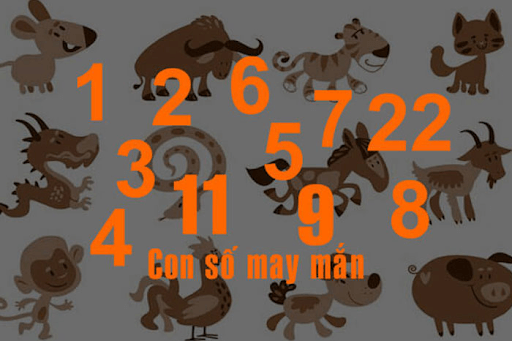 Các con số may mắn của 12 con giáp là những số nào? 